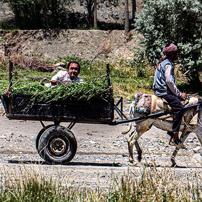 زندگی-نعمت مومنی